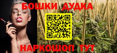 индика Тверь