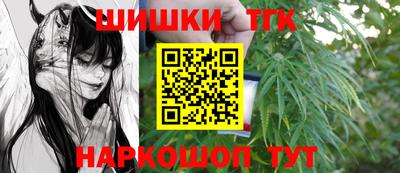 индика Тверь