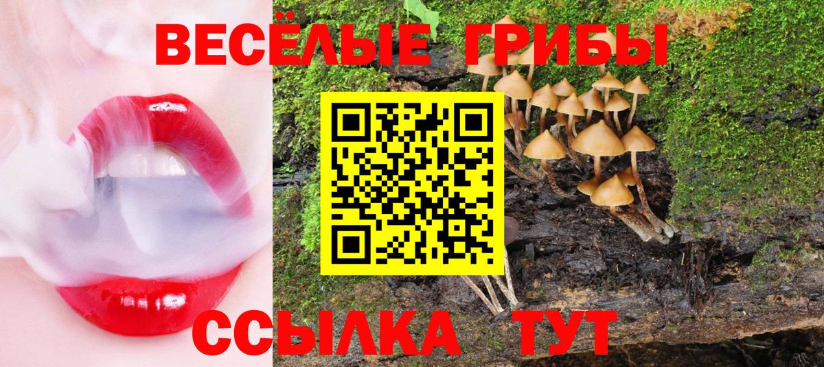 Галлюциногенные грибы прущие грибы Прокопьевск